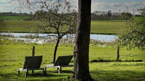 Garten mit Liegen